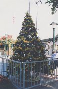023-Xmas tree at Universal Studios
